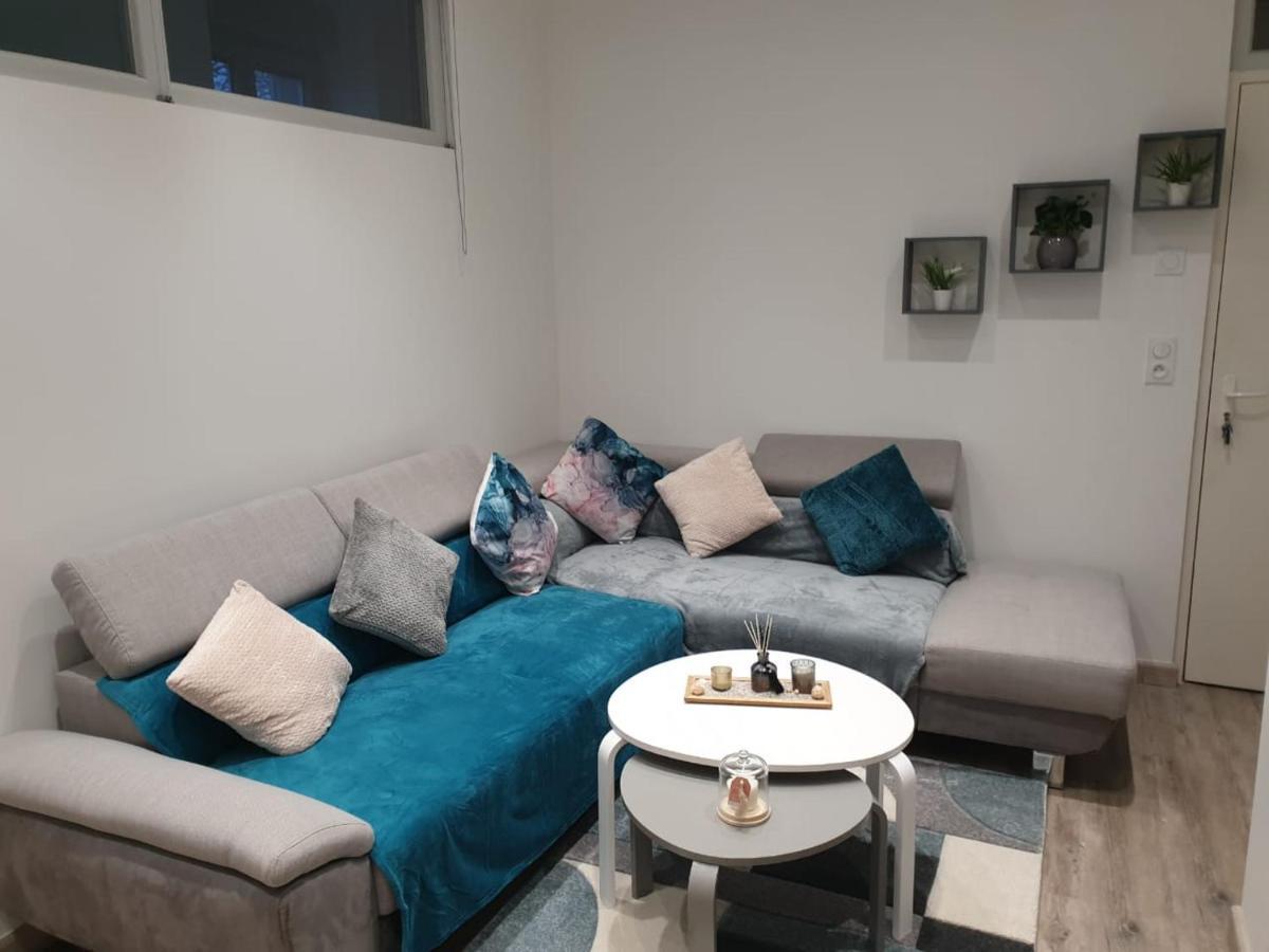 Appartement Cosy Et Chaleureux ลงส์-เลอ-โซนีเย ภายนอก รูปภาพ
