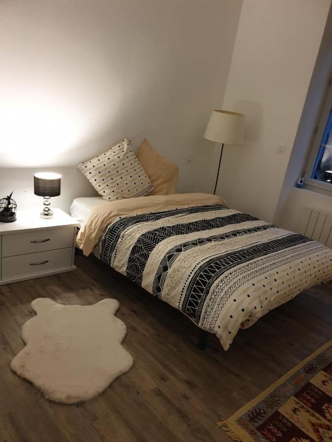 Appartement Cosy Et Chaleureux ลงส์-เลอ-โซนีเย ภายนอก รูปภาพ